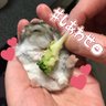 Фото профиля あんこしゃん🐹35P🌸