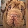 Profilbild von Vengador Barrial
