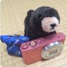 あずさん profil fotoğrafı