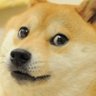 Cooldoge67 的头像