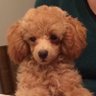 Kimberly Koch 🇺🇸's profile picture