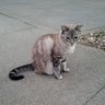 John's profile picture