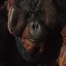 FlamingMonkey's profile picture