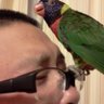しんさく@C★fam🐾 profil fotoğrafı