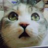 宇治家之都、その他。's profile picture