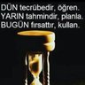 Cevdet Ay's profile picture