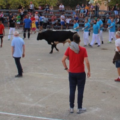 cantaritos1's profile picture