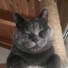 Michi.yoyo profil fotoğrafı