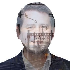 NoelDolphin's profile picture