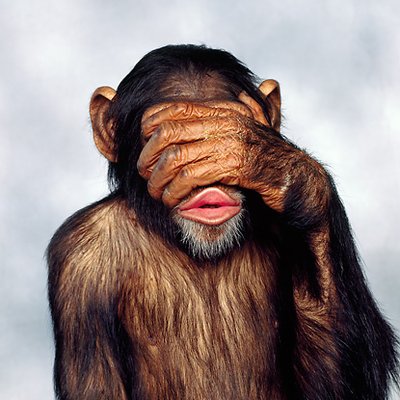 sexdumpnet's profile picture