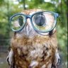 Owl People of the Left 🦉 profil fotoğrafı