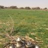 Фото профиля البسمه