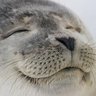 やまだまや profil fotoğrafı