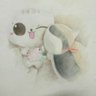 Фото профиля コブタくん