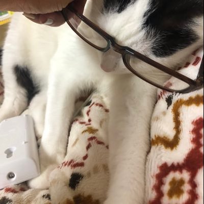 japanmoontaiwan's profile picture