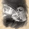Andreas Kal's profile picture
