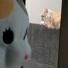 想影真心's profile picture