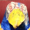 Profilbild von Albertrossy