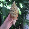 つみれ profil fotoğrafı