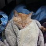 タカポン's profile picture