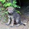 Nymeria ✡️ profil fotoğrafı