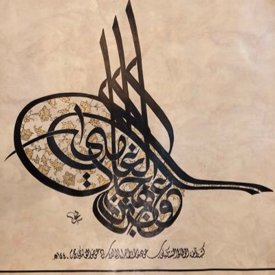 AwadAlghamdi's profile picture