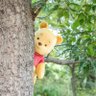 白湯🍞🤗🍙・㊌🦒🦁(5.25🥜1部)・🪖🍙🍘()・🐻🍤 profil fotoğrafı