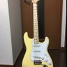 マルムスティーン 的头像