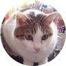 Profilbild von noriko