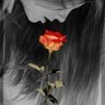 shosho💕's profile picture