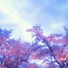 Takahiro's profile picture