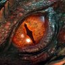 William's profile picture