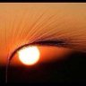 سلطان العنزي profil fotoğrafı