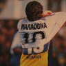 💙💛's profile picture