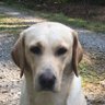 Ilana KE profil fotoğrafı