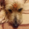Profilbild von stelly