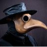 Divinocas's profile picture