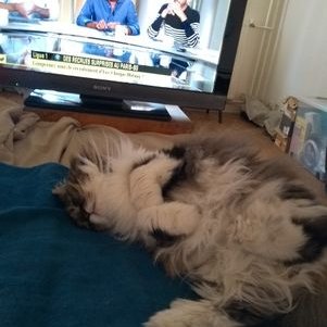 Franco57124579's profile picture