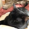 FromEveryCorner's profile picture