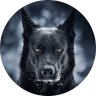 ГорловSKY profil fotoğrafı