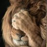 🦁PABLO FM🦁's profile picture