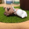 モネモネ@ポケカ 民's profile picture