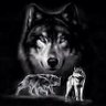 Profilbild von wolf