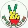 Profilbild von Rasta Duduza A 💚💛❤️