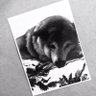 Tricotosa's profile picture