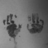 AWardle's profile picture