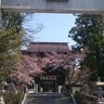 ytakahashi's profile picture