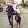 Joseph Morrison's profile picture