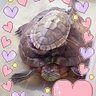 HopeLovePeace💜/I'm Queer🌈:kameko🐢( 憲法改悪反対 )'s profile picture