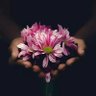 لا يهُم's profile picture